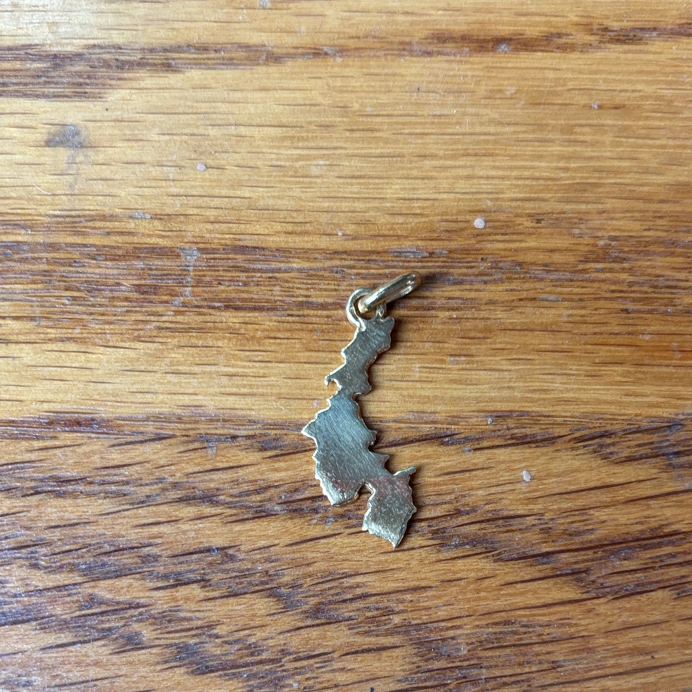 Gold State-Shaped Pendant